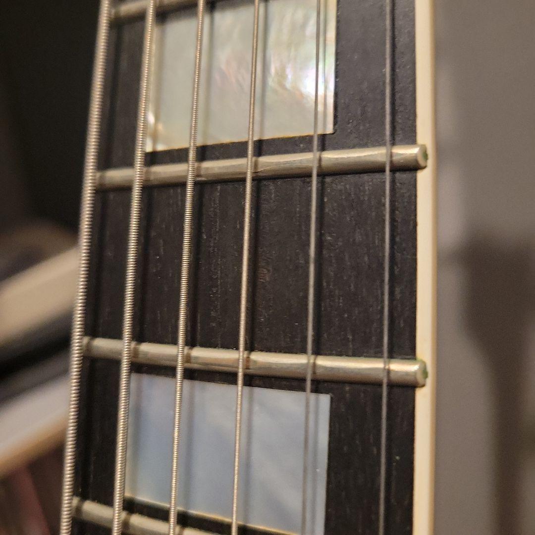 FUJIGEN NCLC-20E レスポールカスタム