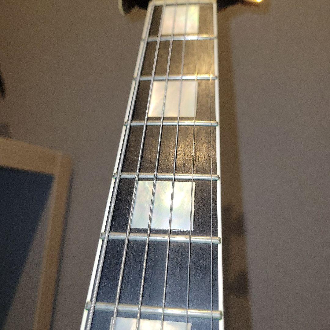 FUJIGEN NCLC-20E レスポールカスタム