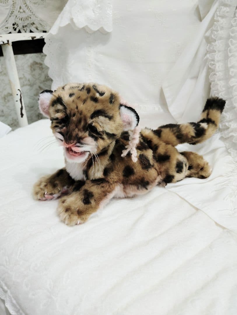 まなあきちゃん❤オーダー❤ウンピョウベビー♡アートドール♡ぬいぐるみ♡