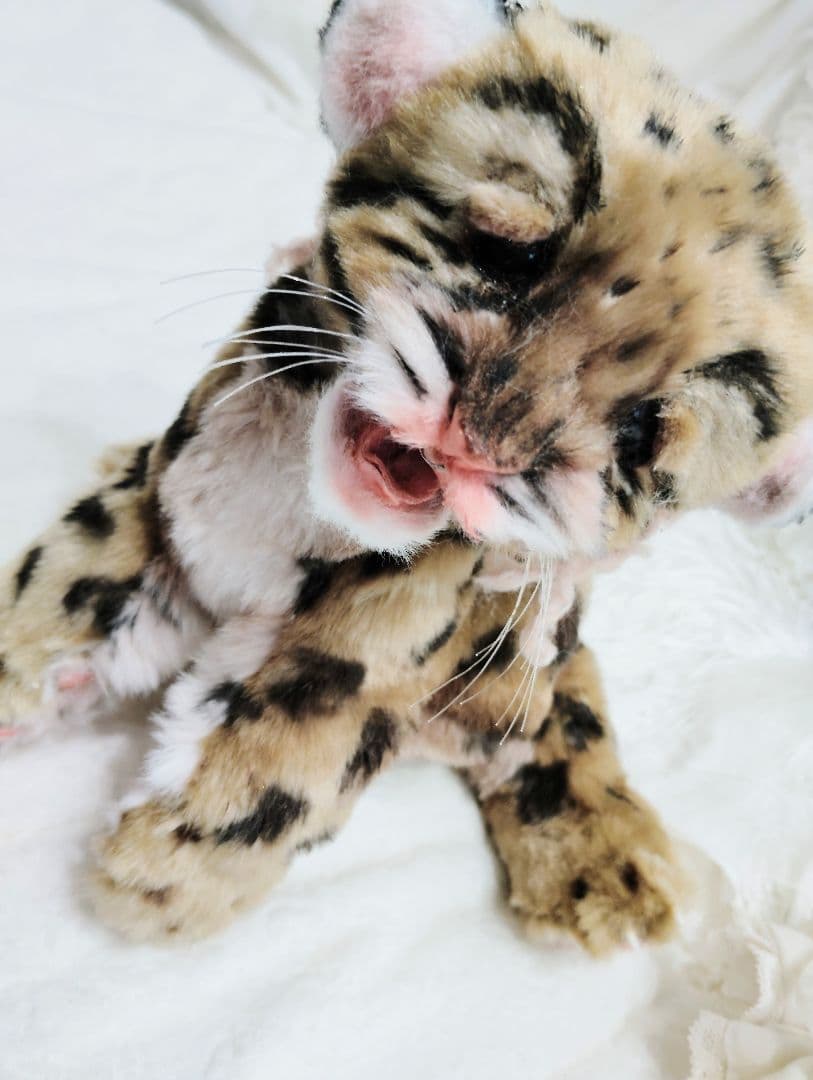 まなあきちゃん❤オーダー❤ウンピョウベビー♡アートドール♡ぬいぐるみ♡