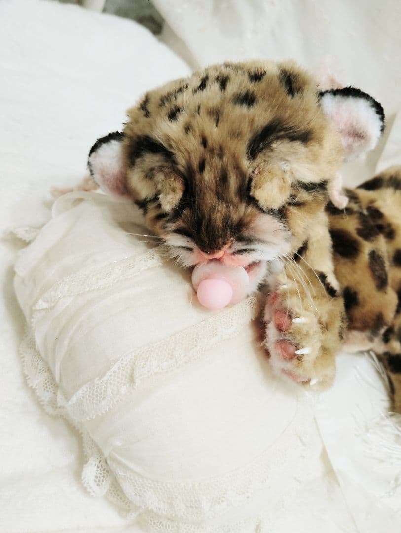 まなあきちゃん❤オーダー❤ウンピョウベビー♡アートドール♡ぬいぐるみ♡