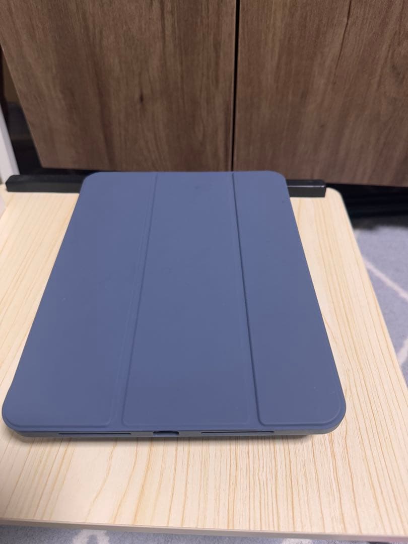 iPad Pro M4 11インチCellularモデル+ bonus