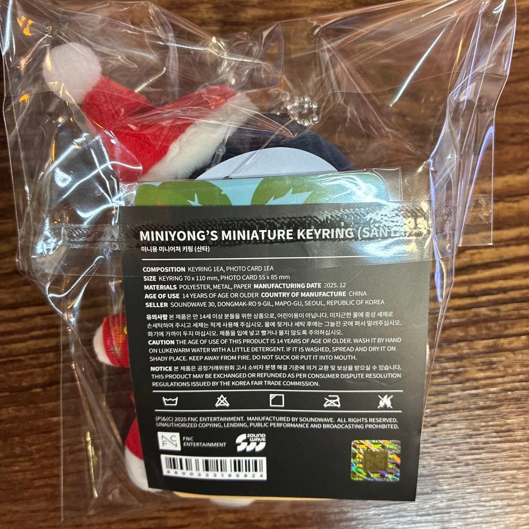 CNBLUE ヨンファ ソロコンサート ミニヨンサンタキーリング トレカ付き