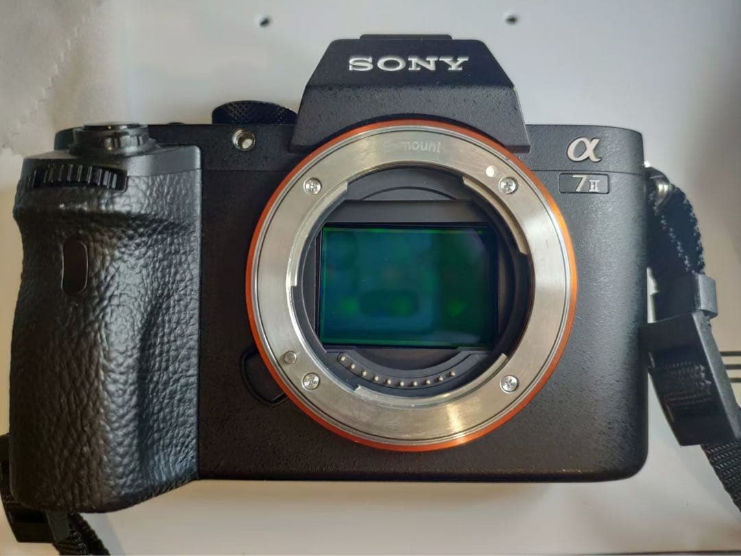 ichimasa さん限定SONY α7 II カメラ ボディー