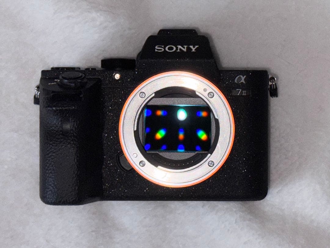 ichimasa さん限定SONY α7 II カメラ ボディー