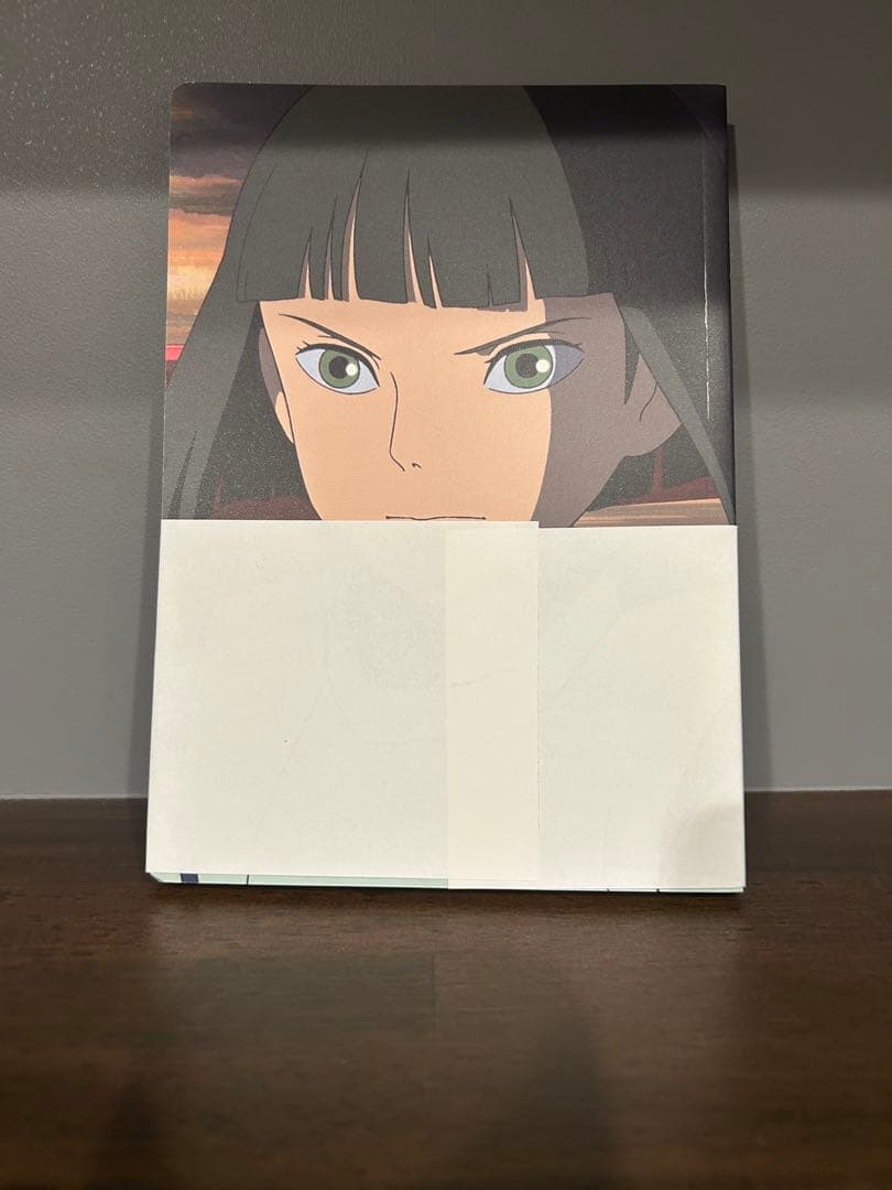 希少品LOEWE x Spirited Away千と千尋の神隠しA5ノート　ハク