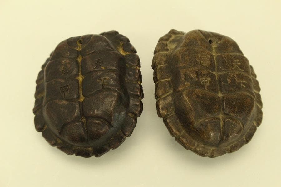 中国美術 紫泥 刻文字 亀甲羅 一対(HA532)