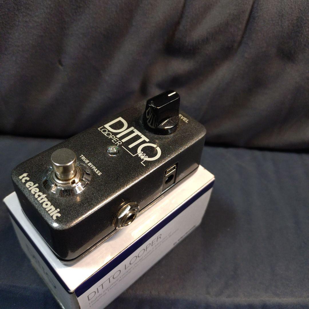 ギター tc electronic DITTO LOOPER