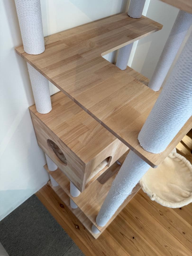 キャットタワースタジアム＊2024年9月購入