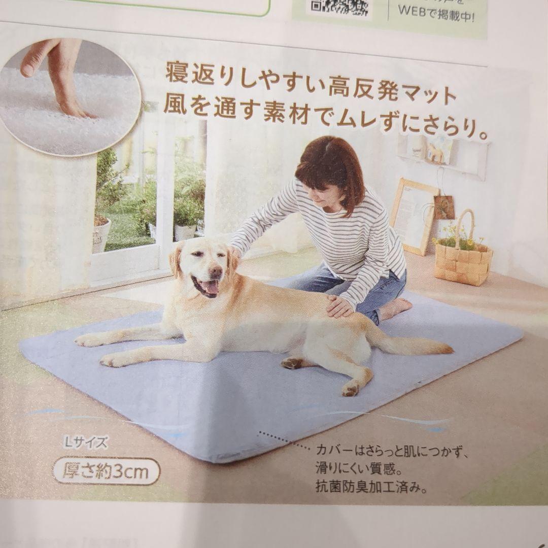①フィーヌエアーマット　Mサイズ