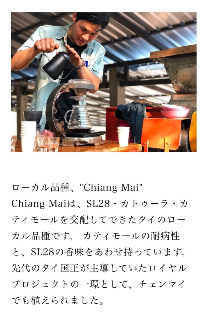 コーヒー生豆 タイ　9kg ハンドピック済み