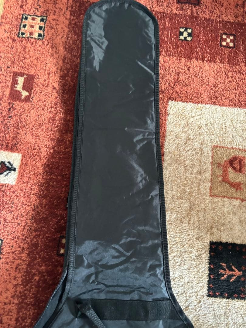 ARIA PRO II RSB SERIES 5弦ベース