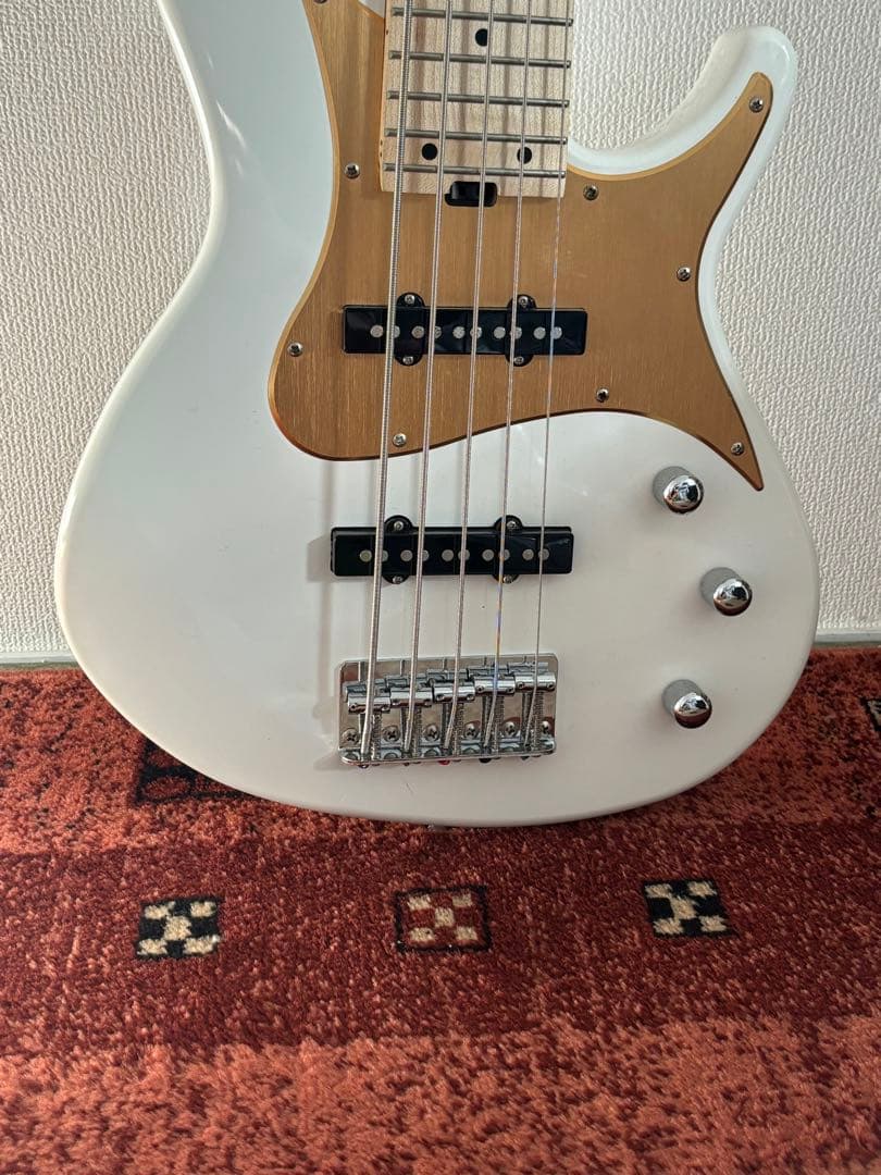 ARIA PRO II RSB SERIES 5弦ベース
