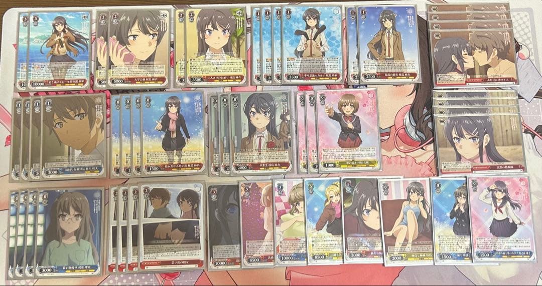 WS 青ブタ 8扉 デッキ 調整パーツ付