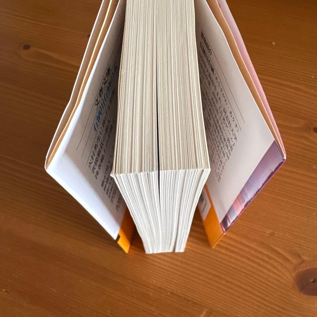 OKO　　捜査線上の夕映え➕プリンタ