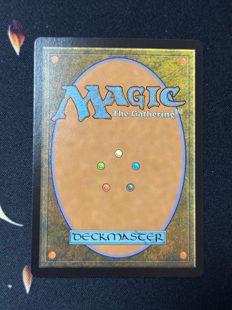 行き届いた書庫　英語　フルアート　FOIL 1枚