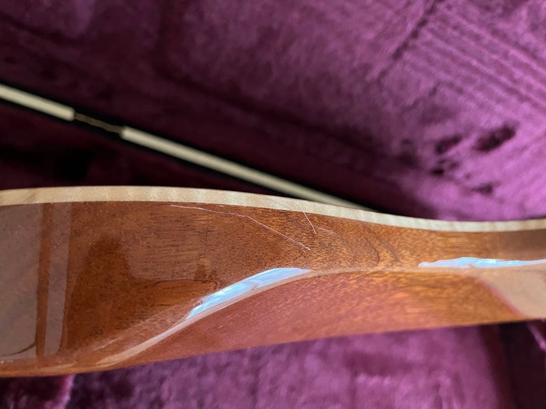 Fujigen expert os 2010年製