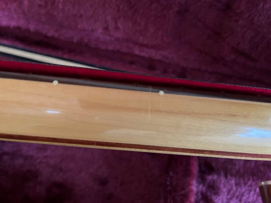 Fujigen expert os 2010年製