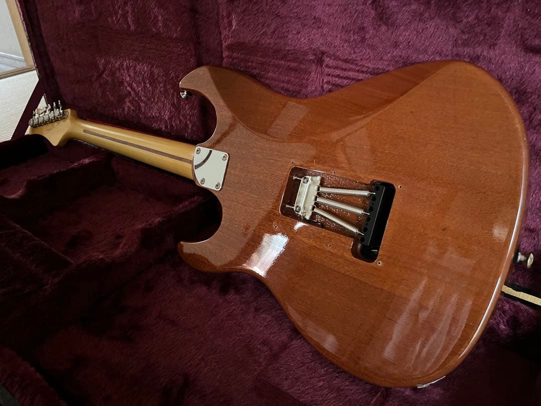 Fujigen expert os 2010年製