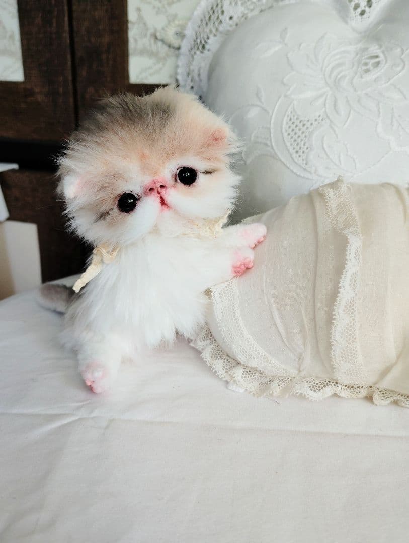 ママ募集❤くりくりオメメ♡ちっちゃな子猫ちゃん♡アートドール♡ぬいぐるみ♡