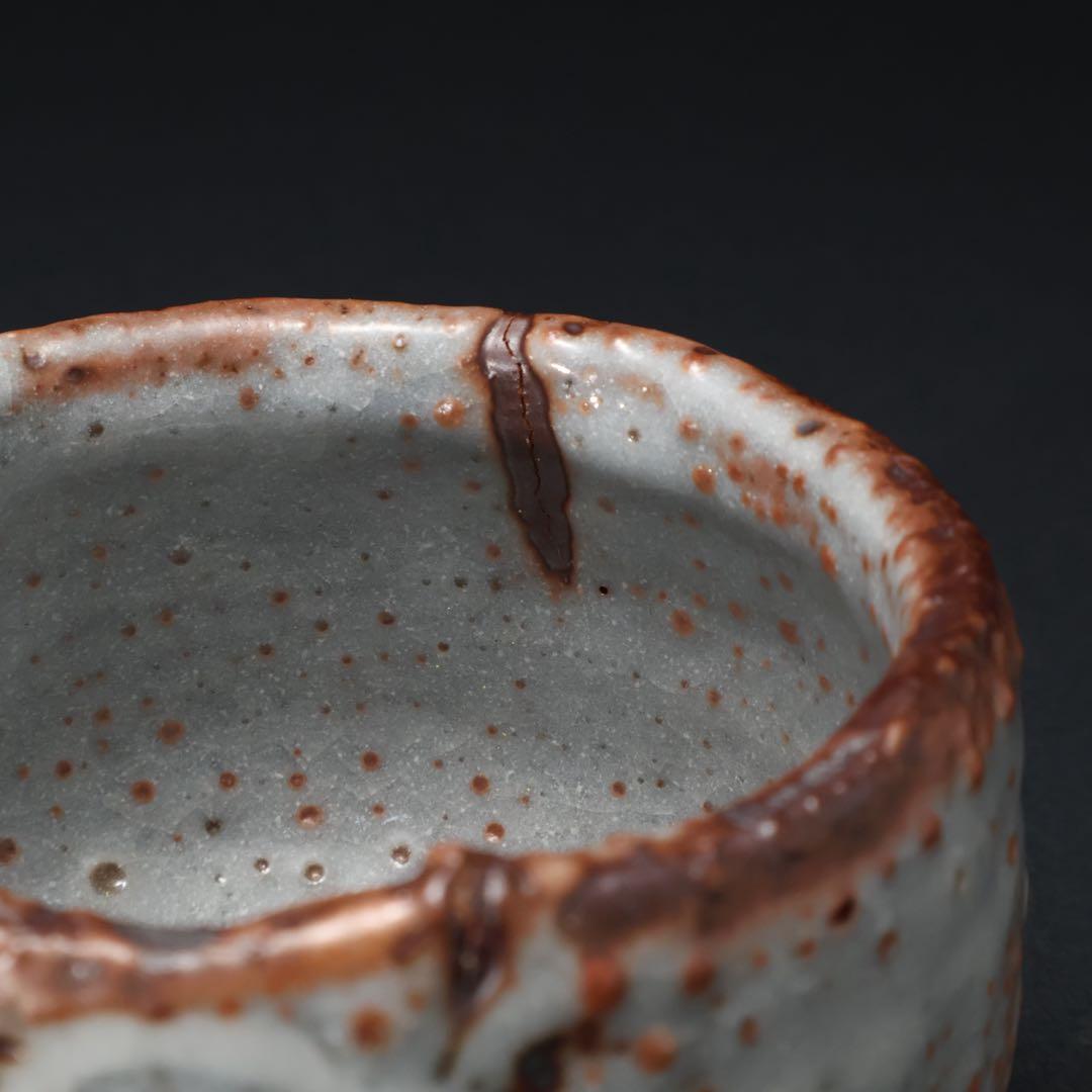 【最終価格】抹茶碗　鼠志野亀の絵　月形那比古　夏至亀　共箱　R1424お14