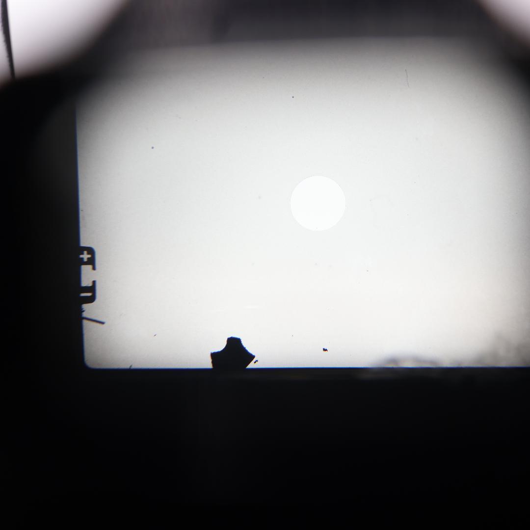 ✨OLYMPUS OM-1 50mm F1.8✨