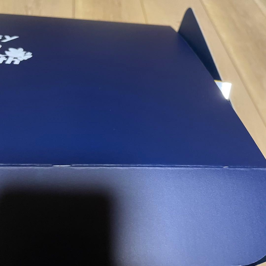 Nissy Entertainment 10周年 VIPシート 2日目特典 銀テ