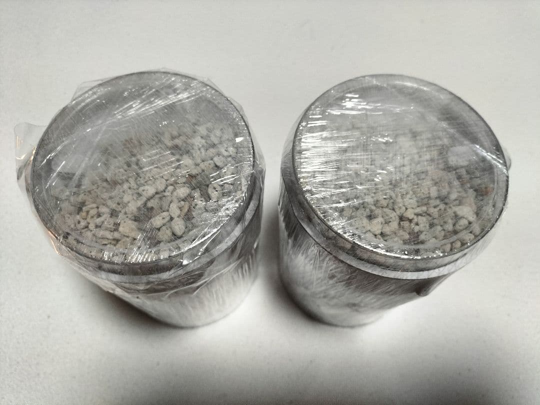 あり巣 in underground アリ 蟻 観察 飼育セット 蟻マシーン