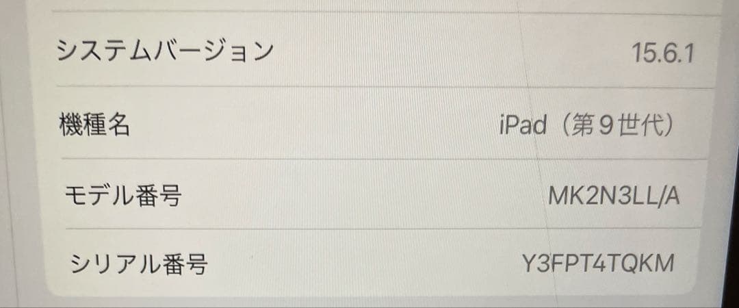 iPad (第9世代) 256GB WiFi A2602 スクリーンヒビあり