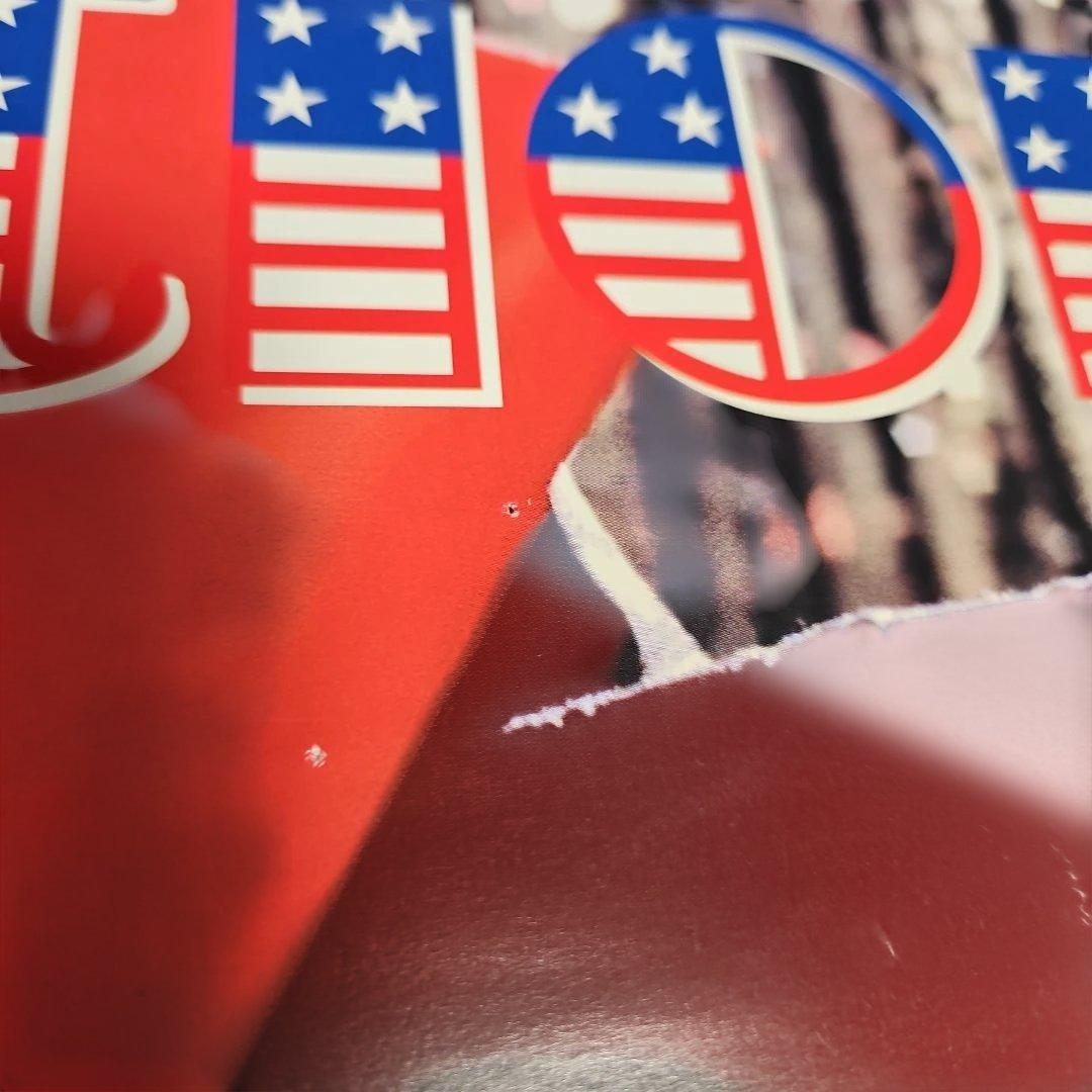 ayumi hamasaki evolution 告知ポスター