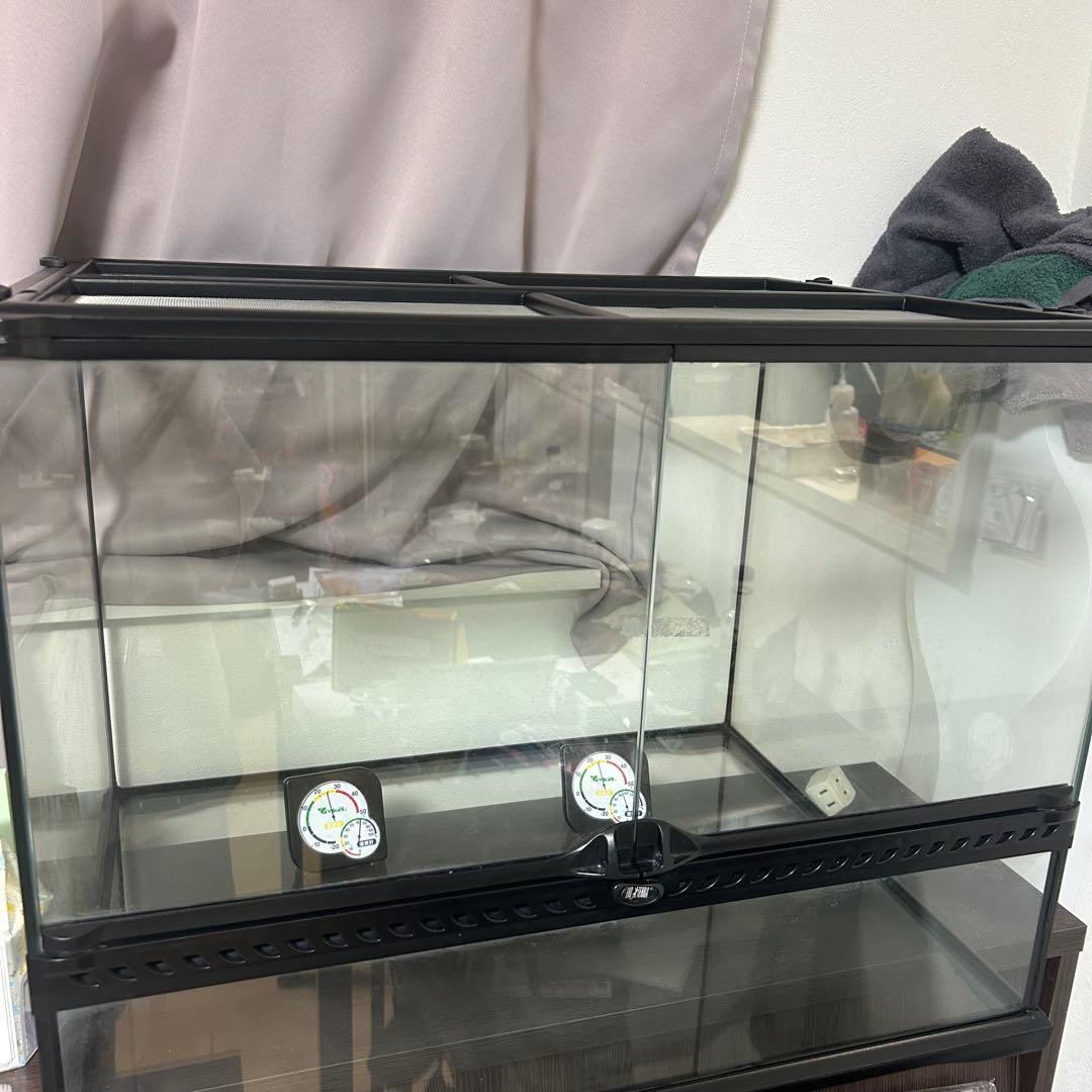 エキゾテラ　EXOTERRA GEX ガラス製 ケージグラステラリウム　6045