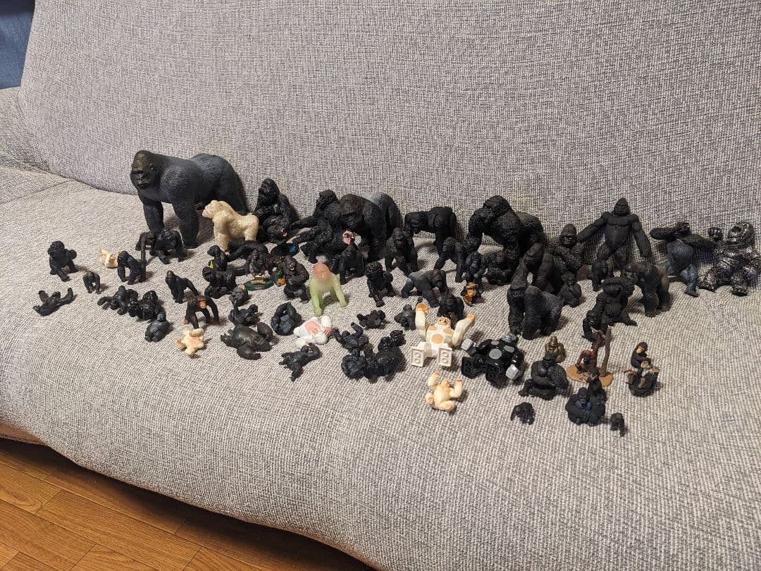 ゴリラの群れ　 約70体