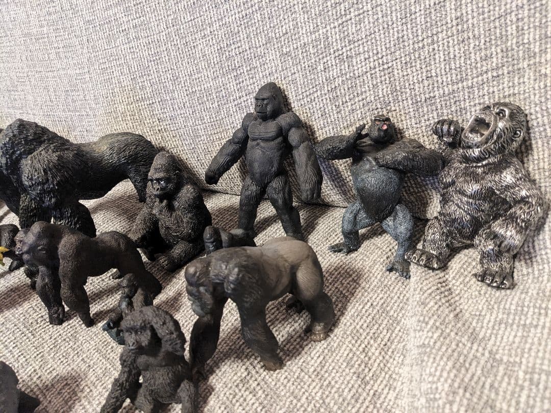 ゴリラの群れ　 約70体