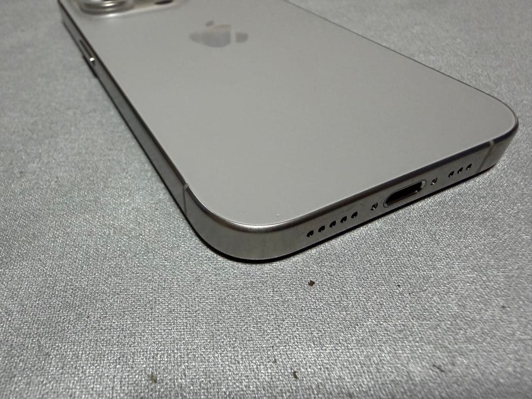 Apple iPhone15Pro 256GB Apple Care加入可能