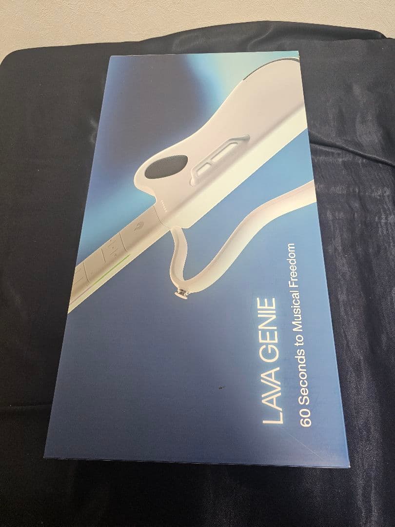 ギター LAVA MUSIC GENIE