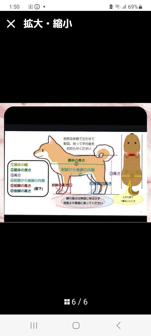 犬用車いす 中型犬用 アルミ製中古美品
