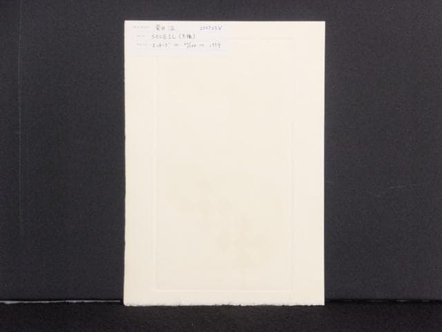 現代美術　菅井汲　直筆サイン『BLEU・S・SOLEIL』エッチング 0723S
