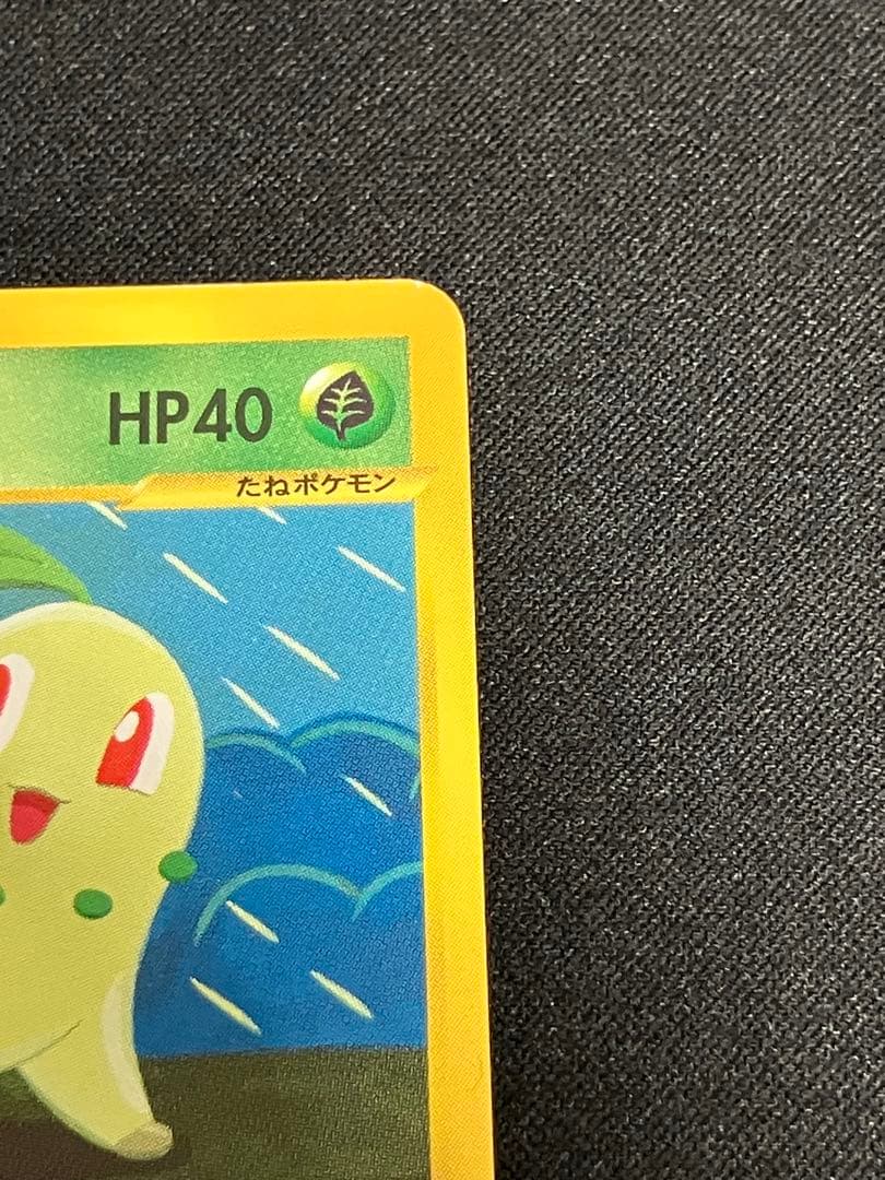 【特価・超希少】アンリミ チコリータ カードe 005/029 みつめる