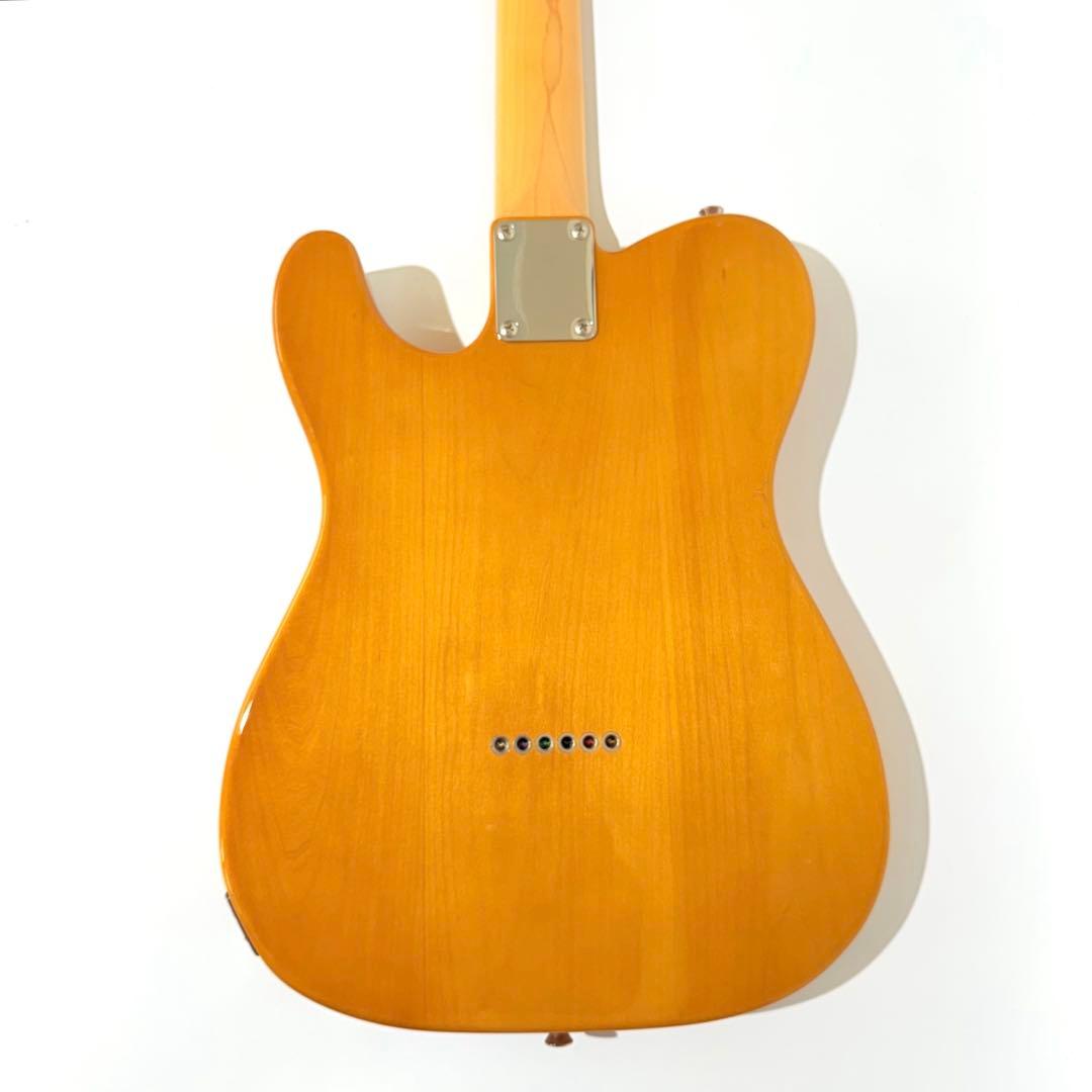 Fujigen NTE10M エレキギター フジゲン