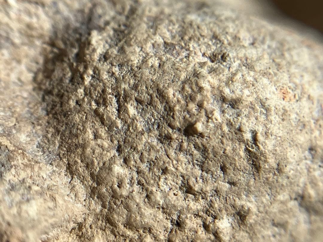 【美しい、、古代中国の羊像 新石器時代後期頃 前3000～2000年】骨董発掘