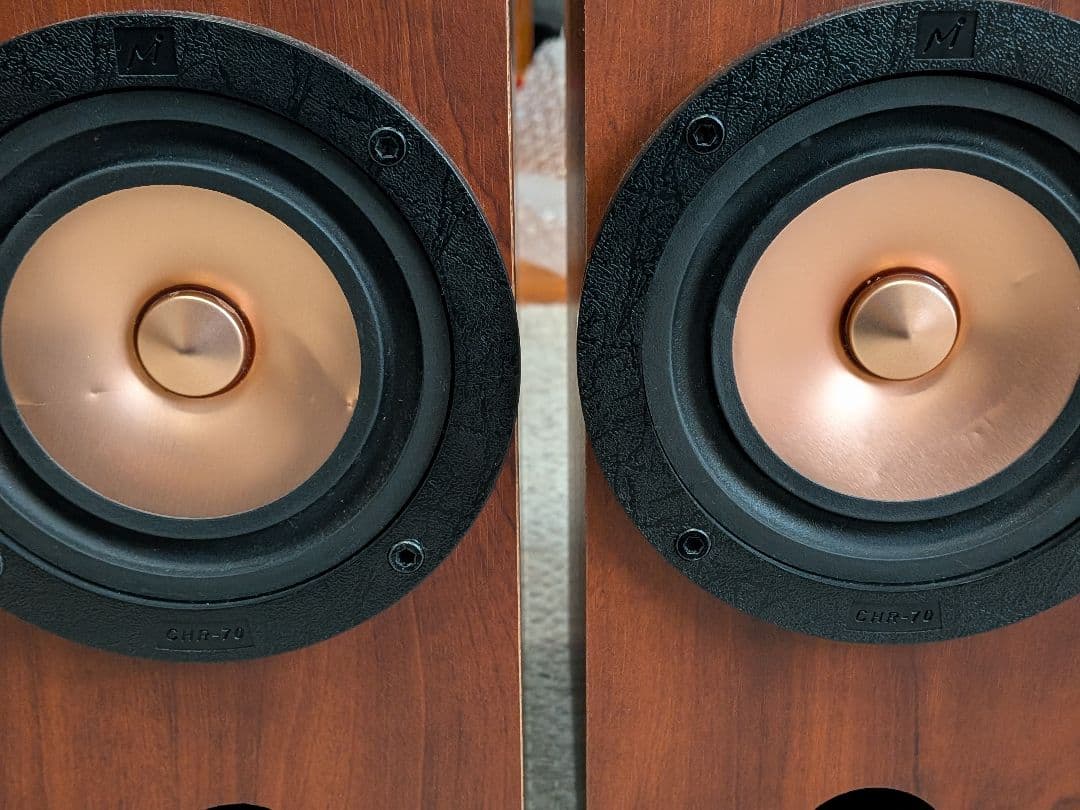 FOSTEX P1000-E + MarkAudio CHR70v3 スピーカー