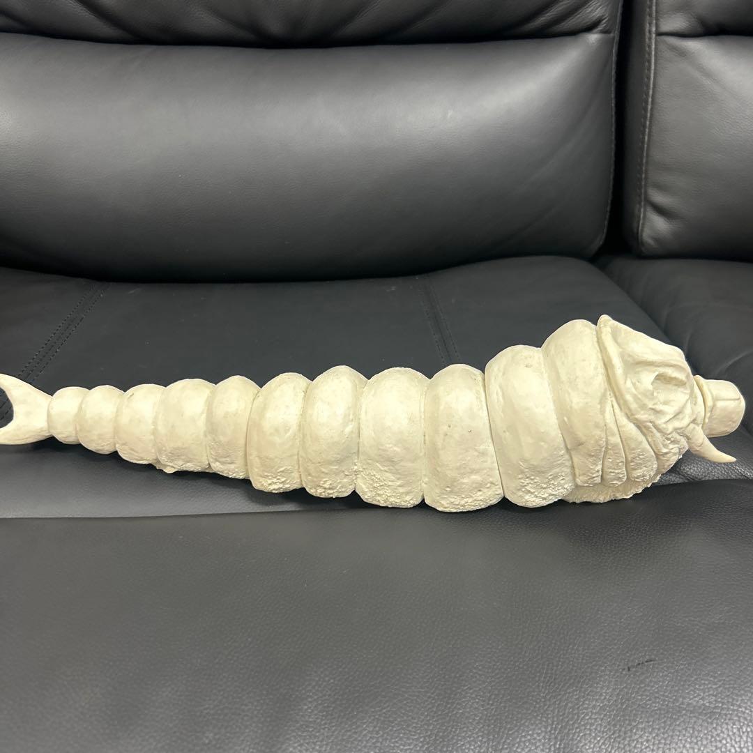 パラダイス　モスラ　幼虫(約４０センチ)　モスラ対ゴジラ