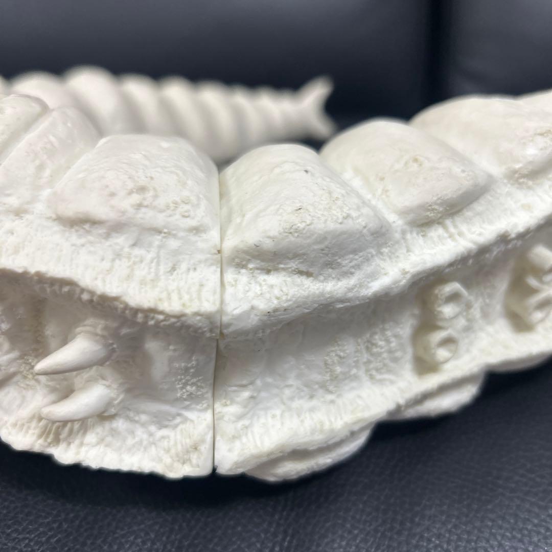 パラダイス　モスラ　幼虫(約４０センチ)　モスラ対ゴジラ