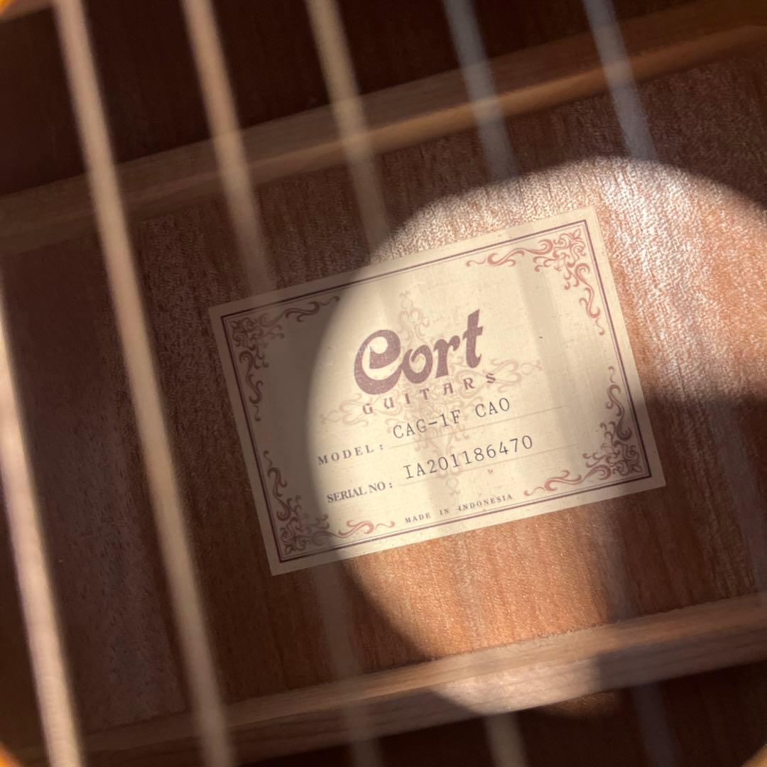 Cort CAG-1F NAT アコースティックギター　美品