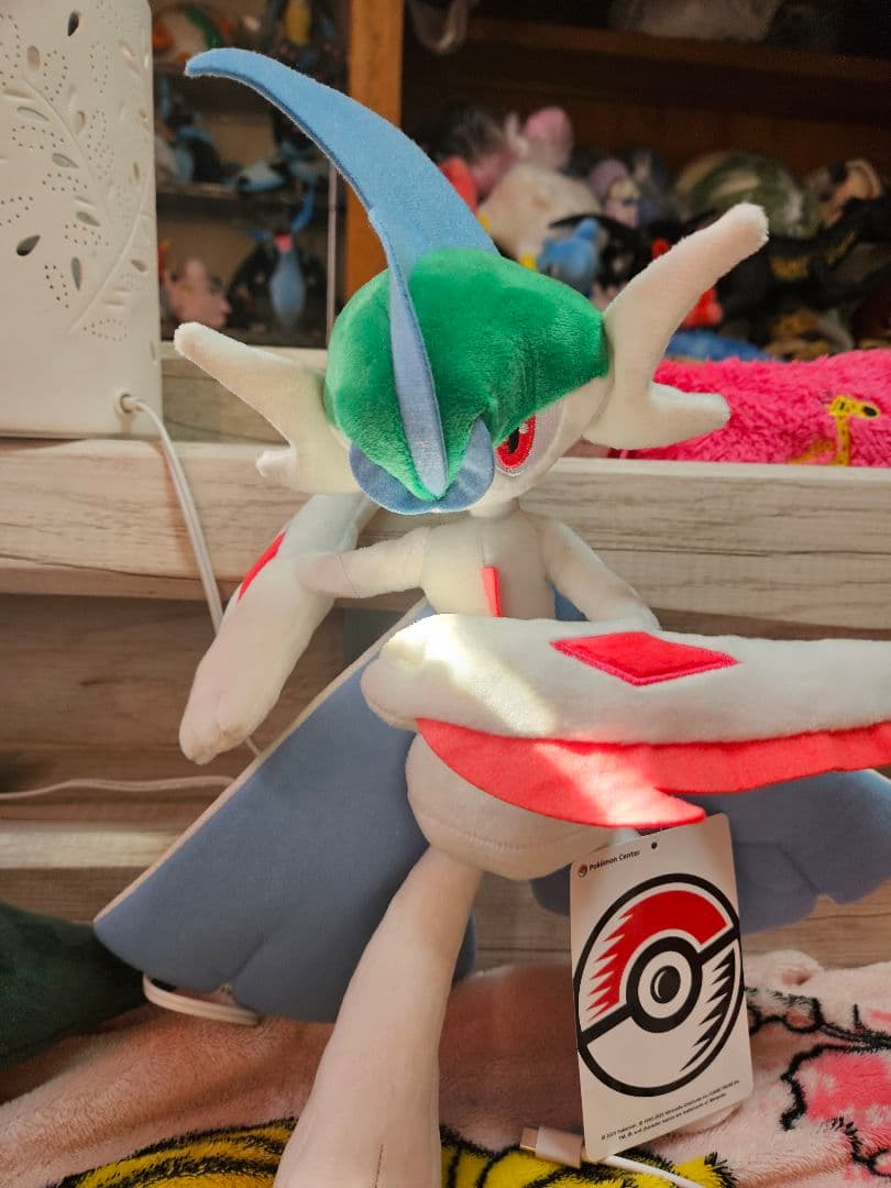 ポケモン　ぬいぐるみ　本日限定値下げ