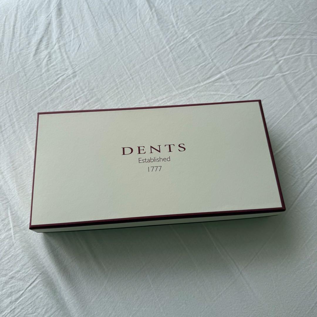 dents 手袋　レザーグローブ　Hastings 5-1568
