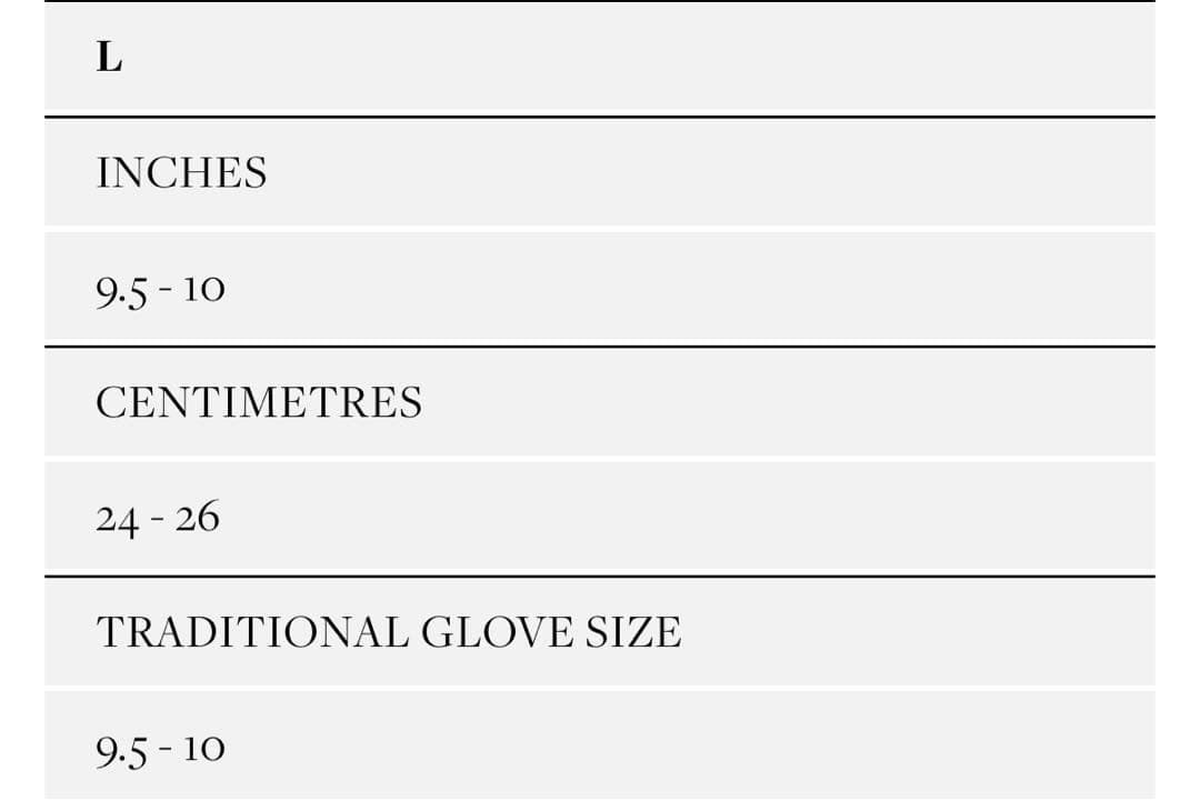 dents 手袋　レザーグローブ　Hastings 5-1568