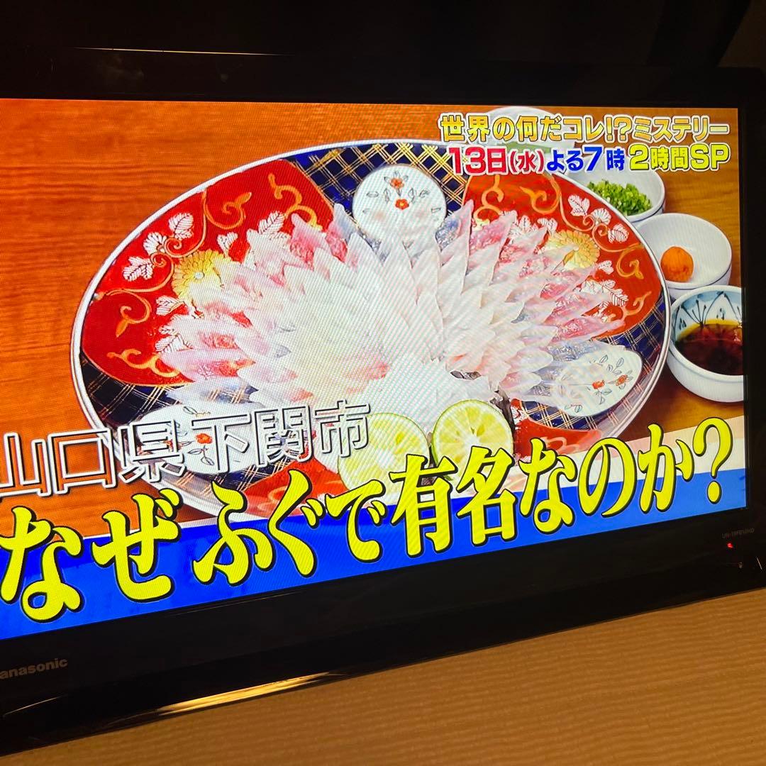 パナソニック プライベートビエラ 19V型 UN-19FB10HD ポータブル