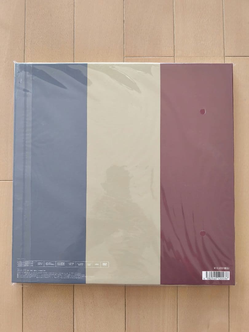 ミュージック ACIDMAN ELEVEN DVD