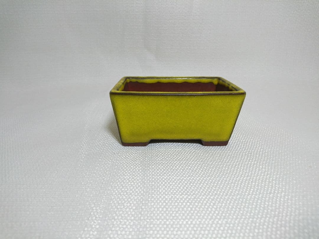 39 盆栽鉢 長方形小鉢★落款入　黄色　趣のある一品